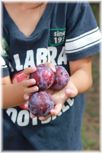 $よめ膳@YOMEカフェ
