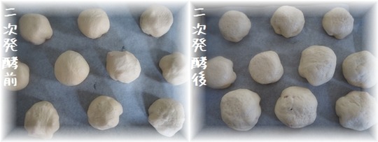 P1017649