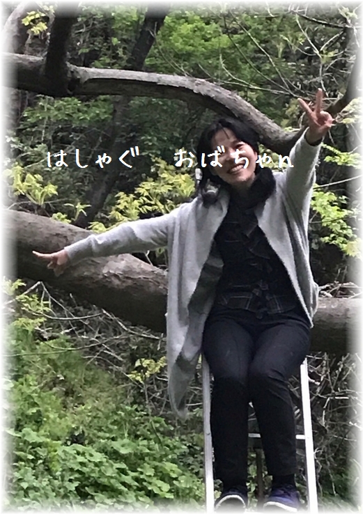 1aykogIMG_0446