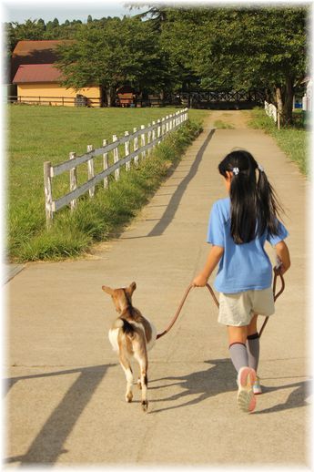 $よめ膳＠YOMEカフェ