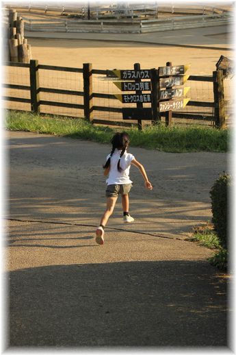 $よめ膳＠YOMEカフェ