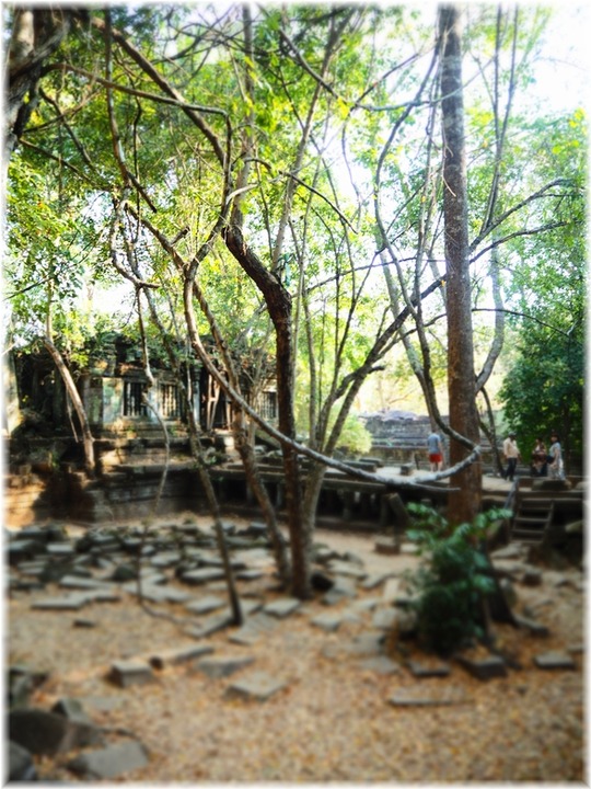 P1010469