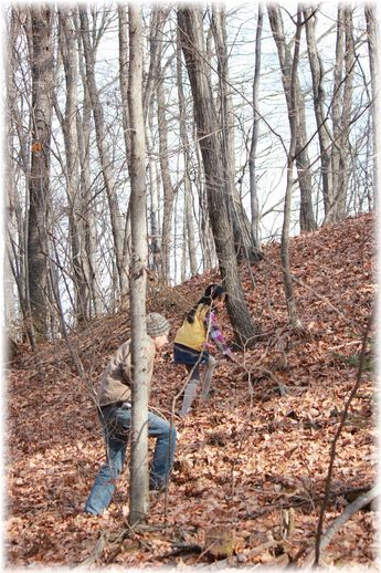 $よめ膳@YOMEカフェ