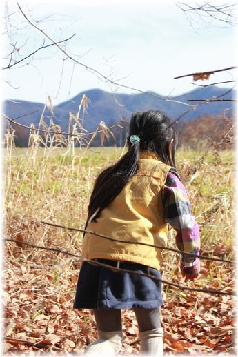 $よめ膳@YOMEカフェ