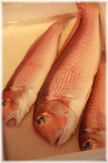 $よめ膳@YOMEカフェ