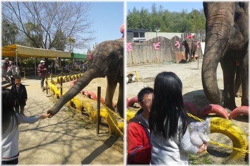 $よめ膳@YOMEカフェ