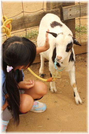 $よめ膳＠YOMEカフェ