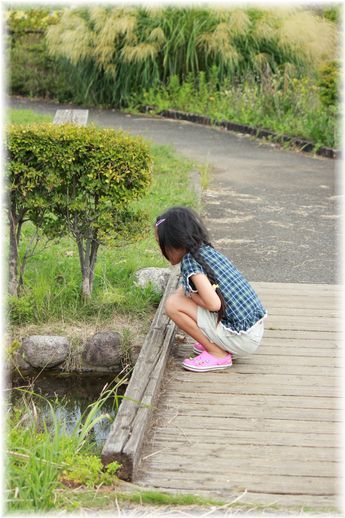 $よめ膳＠YOMEカフェ