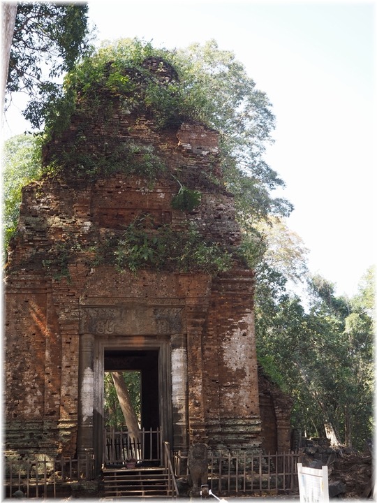 P1010491