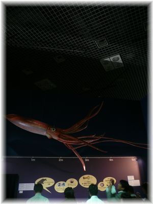 $よめ膳@YOMEカフェ