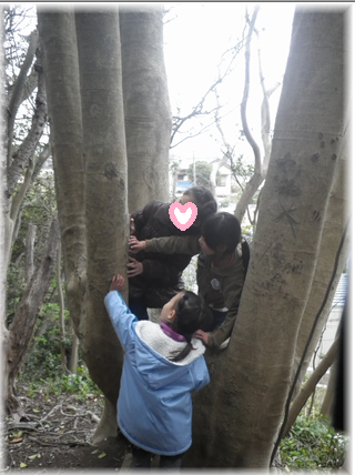 $よめ膳@YOMEカフェ