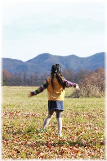 $よめ膳@YOMEカフェ