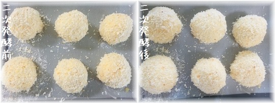IMG-6968
