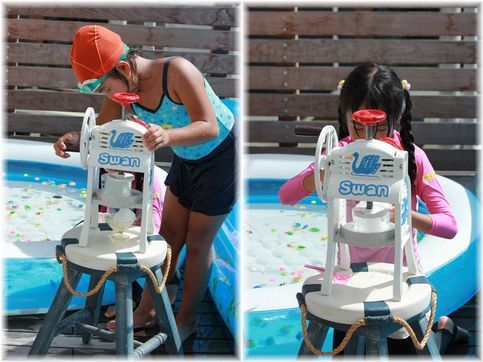 $よめ膳＠YOMEカフェ