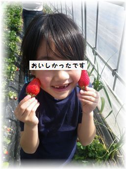 $よめ膳@YOMEカフェ