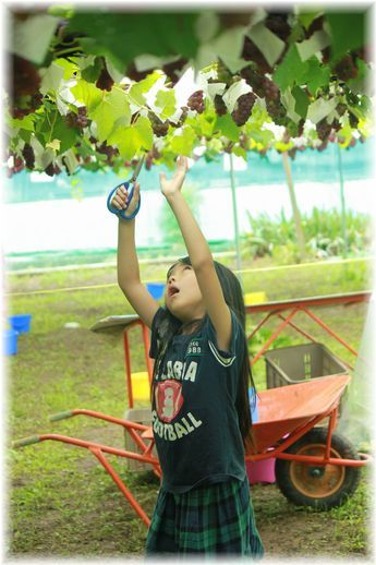 よめ膳＠YOMEカフェ