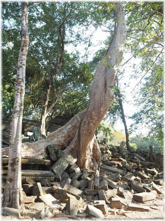 P1010431