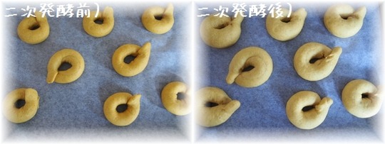 1aaykogP1016272