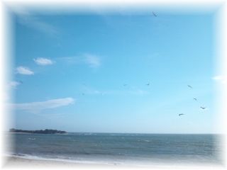 よめ膳＠YOMEカフェ