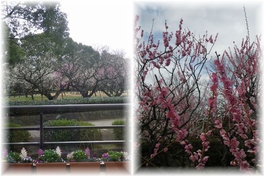 $よめ膳＠YOMEカフェ