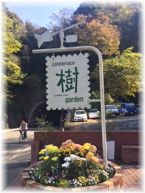 1aykogIMG_2666