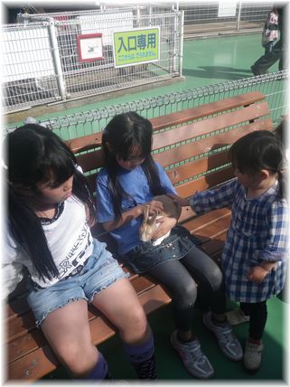 $よめ膳@YOMEカフェ