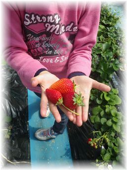 $よめ膳@YOMEカフェ