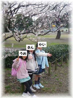 $よめ膳＠YOMEカフェ