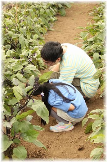 $よめ膳@YOMEカフェ