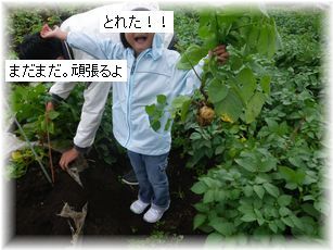 $よめ膳@YOMEカフェ