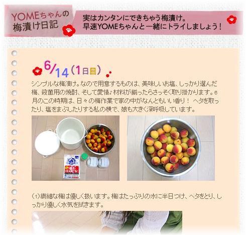 梅漬け日記、始まっています♪
