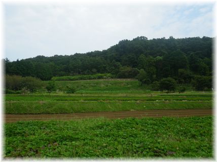 $よめ膳@YOMEカフェ