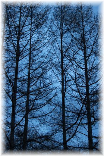 $よめ膳@YOMEカフェ