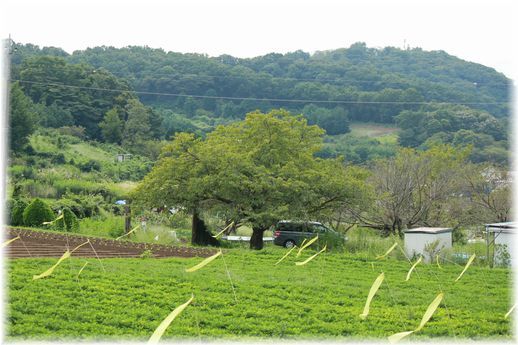 $よめ膳@YOMEカフェ