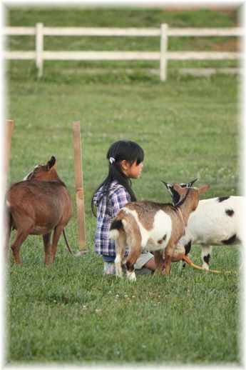 $よめ膳@YOMEカフェ