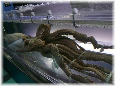 $よめ膳@YOMEカフェ