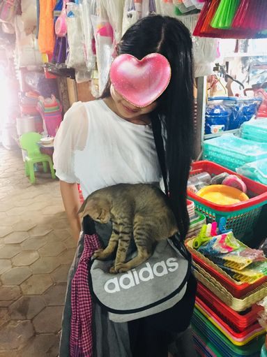 ねこ9