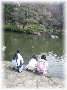 $よめ膳＠YOMEカフェ