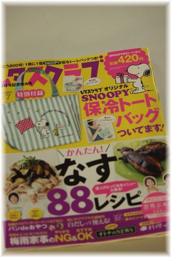 レタスクラブ 800号記念特大号♪ と 手アイロン。
