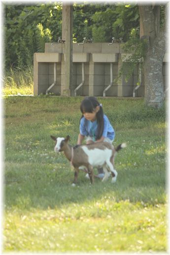 $よめ膳＠YOMEカフェ