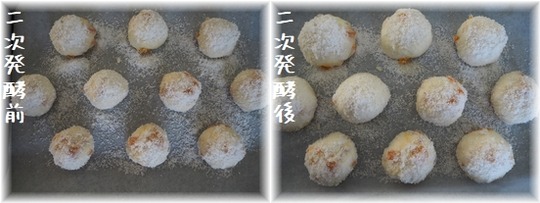 P1010003