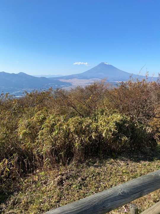 IMG-9617