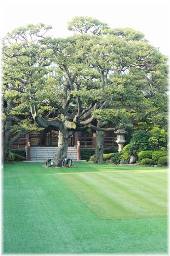 $よめ膳@YOMEカフェ