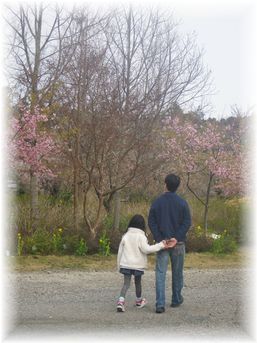 $よめ膳@YOMEカフェ