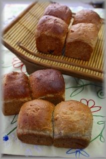 ココナツとマンゴーのミニ食パン。