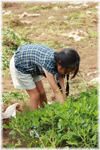 $よめ膳@YOMEカフェ