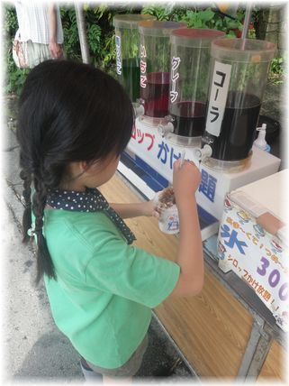 あじさい１１