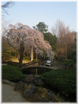 $よめ膳@YOMEカフェ