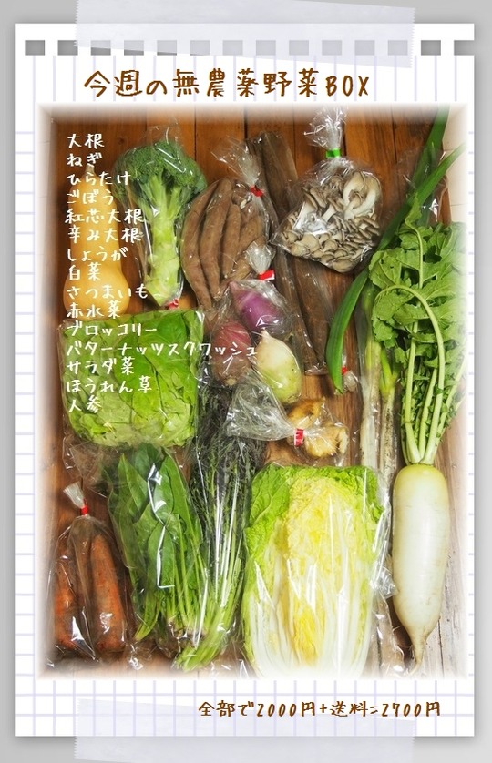 paper011210-2