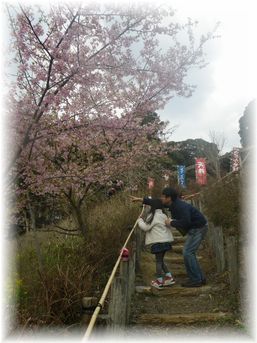 $よめ膳@YOMEカフェ